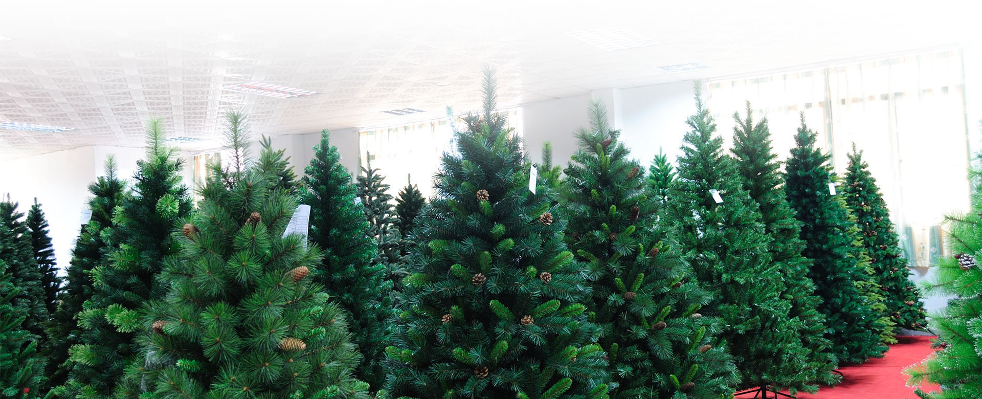 Real-Christmas-Tree-or-Artificial-Christmas-Tree-2