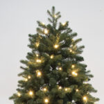 Amberglow Grand Fir Illuminated Warm Golden Glow Cozy Holiday Ambiance