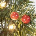 Pocket Pine Christmas Table Tree branch detail