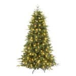 Abies Fraseri Christmas Tree full view