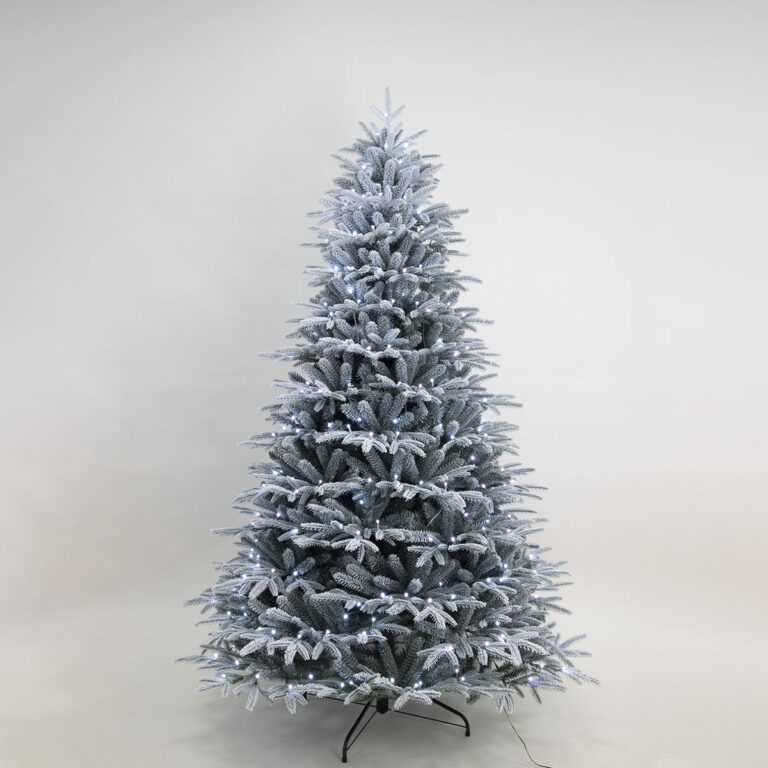 Blue Snowspruce Christmas Tree side view