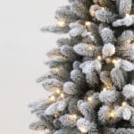 Caledonian Crest Christmas Tree branch detail