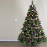 Everglow Fusion Fir Christmas Tree foliage detail