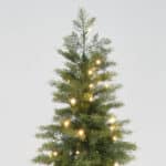 Jack Pine Sentinel Christmas Tree side view