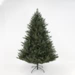 Noble Norfolk Christmas Tree full view