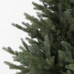Noble Norfolk Christmas Tree side view