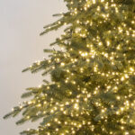 Starlight Grand Fir Christmas Tree branch detail